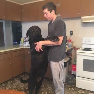 Meet your Posher, Jason